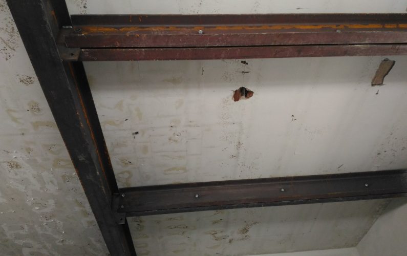 Cappotto termico per case a Parma - soffitto